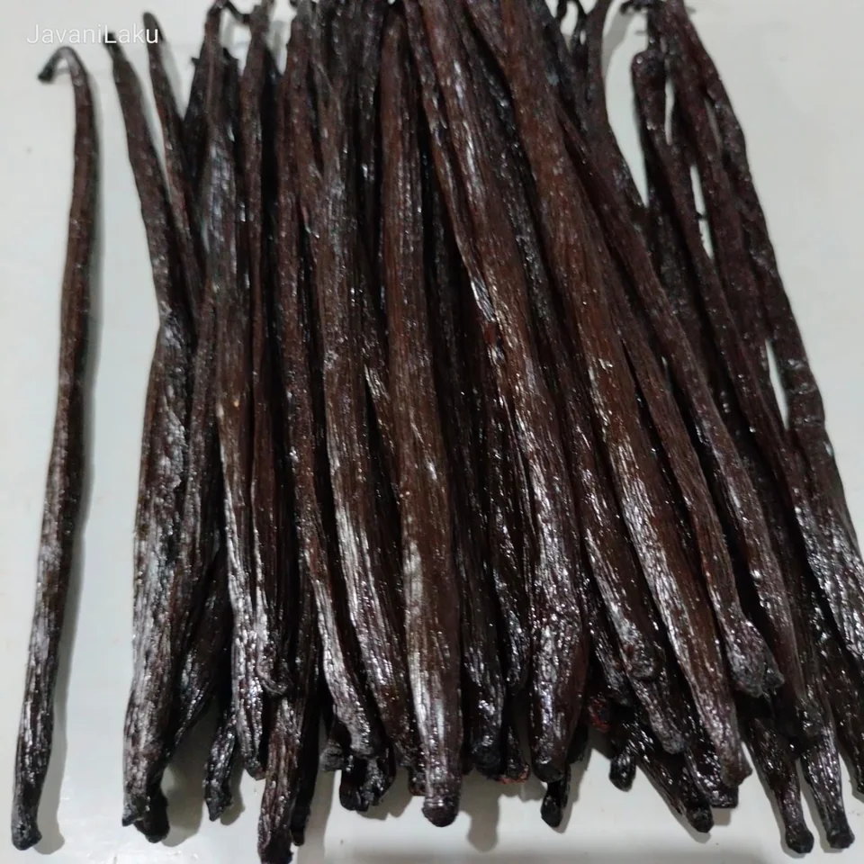 Close-up of cured Indonesian vanilla beans on a light surface